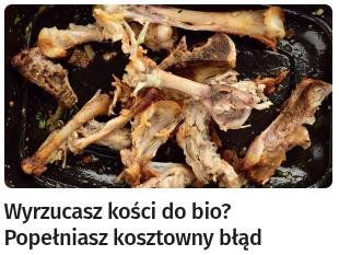 NiemcyTresuja2026-02-09