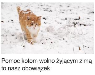NiemcyWformie2023-12-30